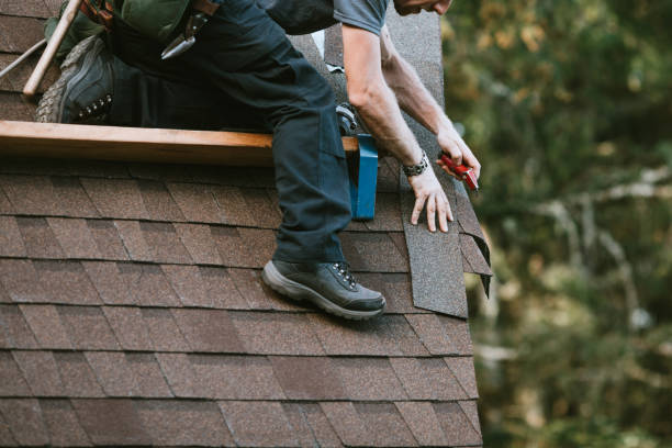 Best Roof Gutter Cleaning  in Woodville, AL